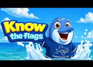 Beach Flags video thumbnail